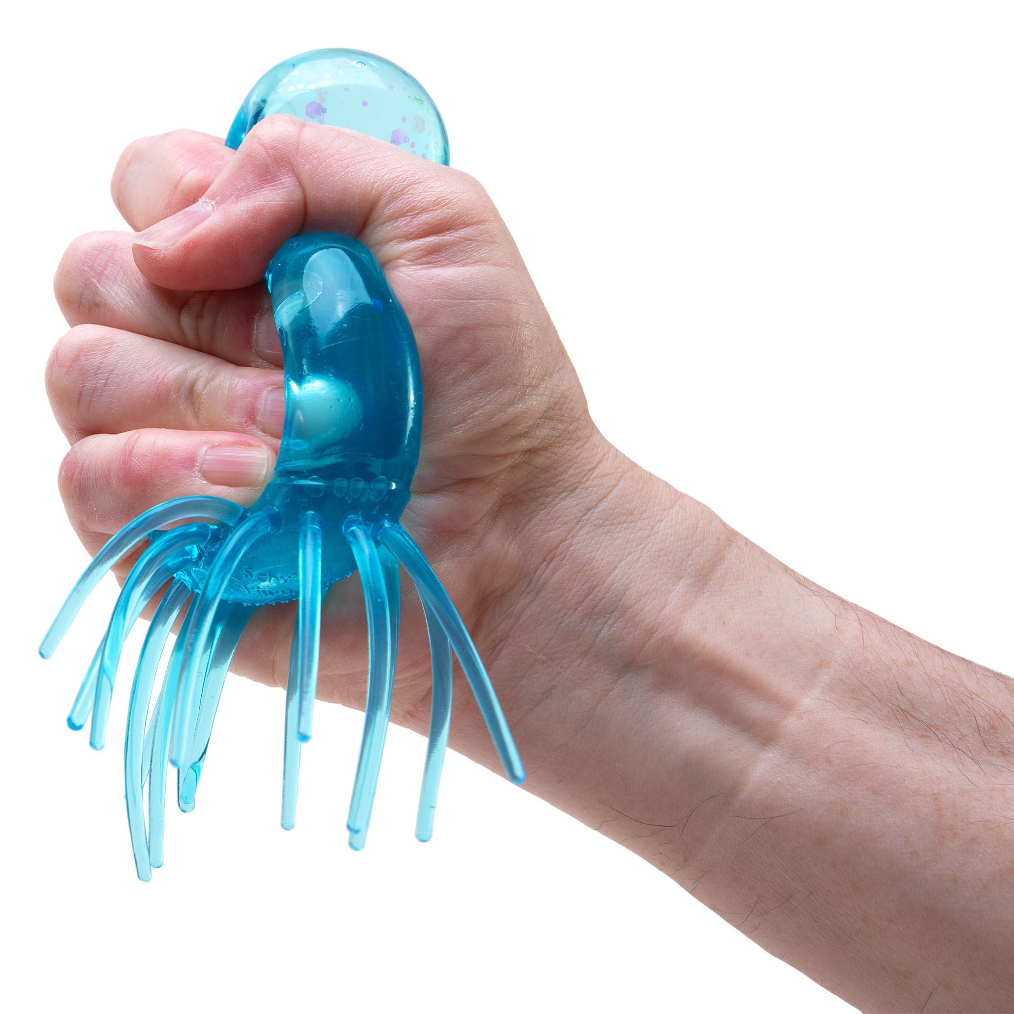 JSND_Image6